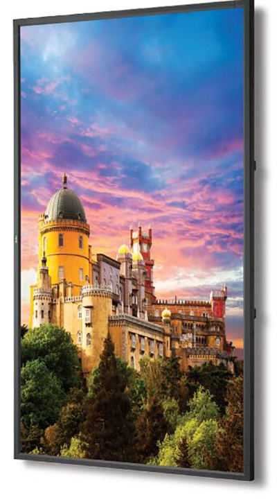 NEC旗舰级工程显示器上市，惊艳颜色精准再现