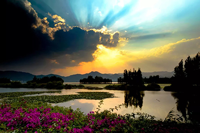 七月的滇池湖畔，你还没见过的“七彩云南”