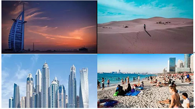 官宣：科视再一次成为世博会官方合作伙伴