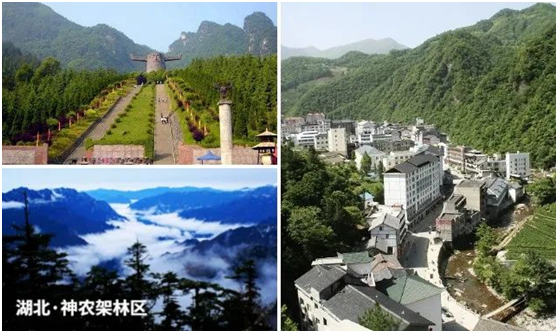 湖森科技为湖北神农架林区提“智”增效